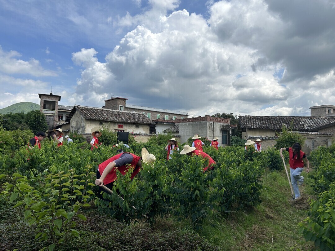 FUN乐天使官方网站