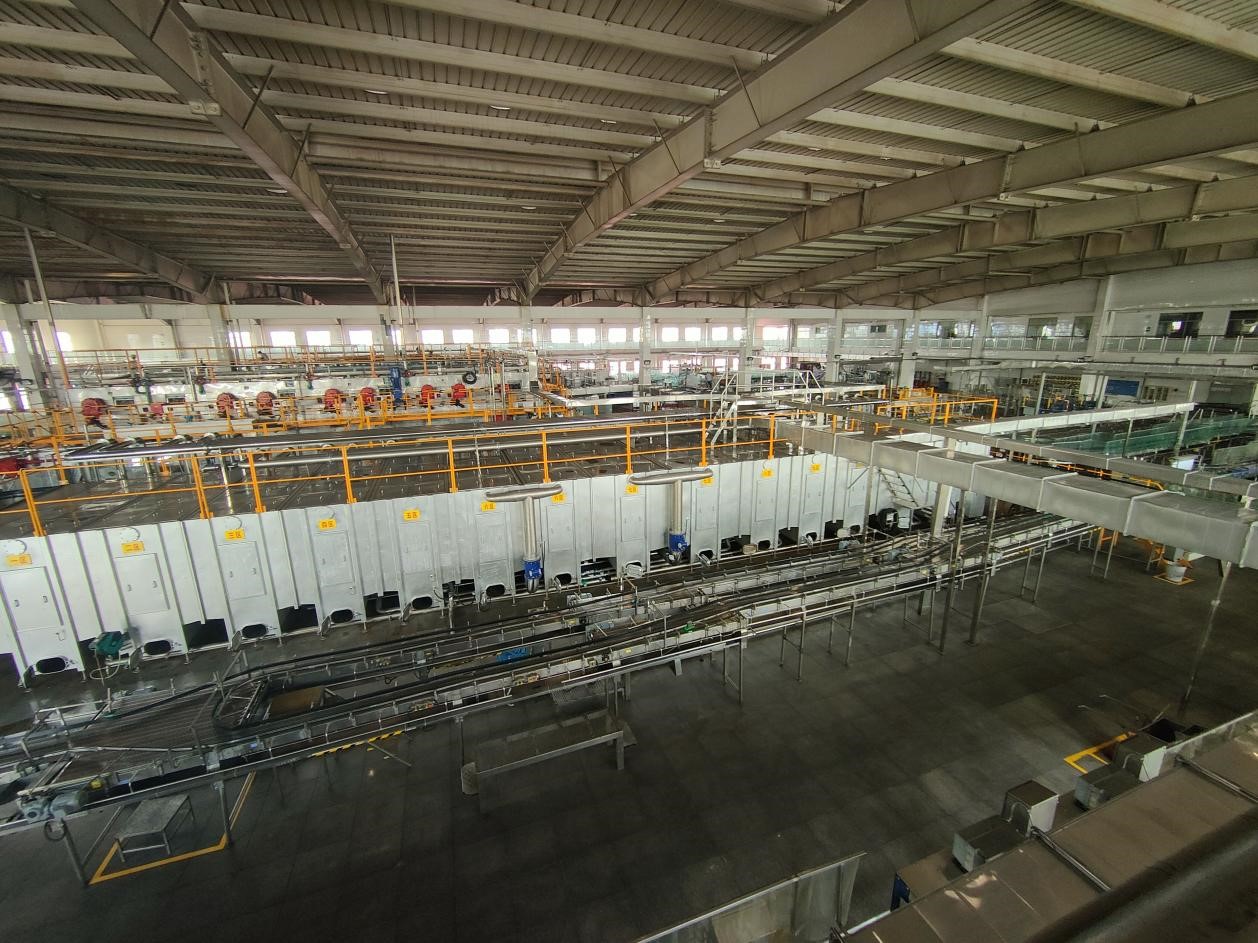 FUN乐天使官方网站