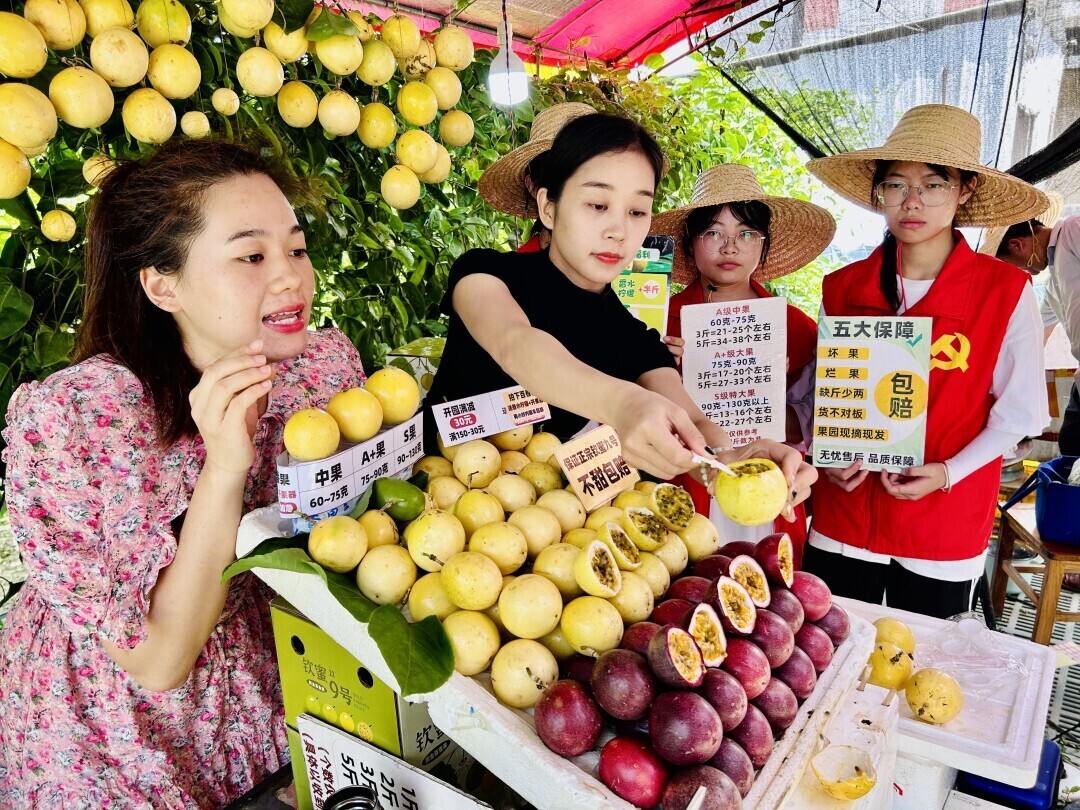 FUN乐天使官方网站